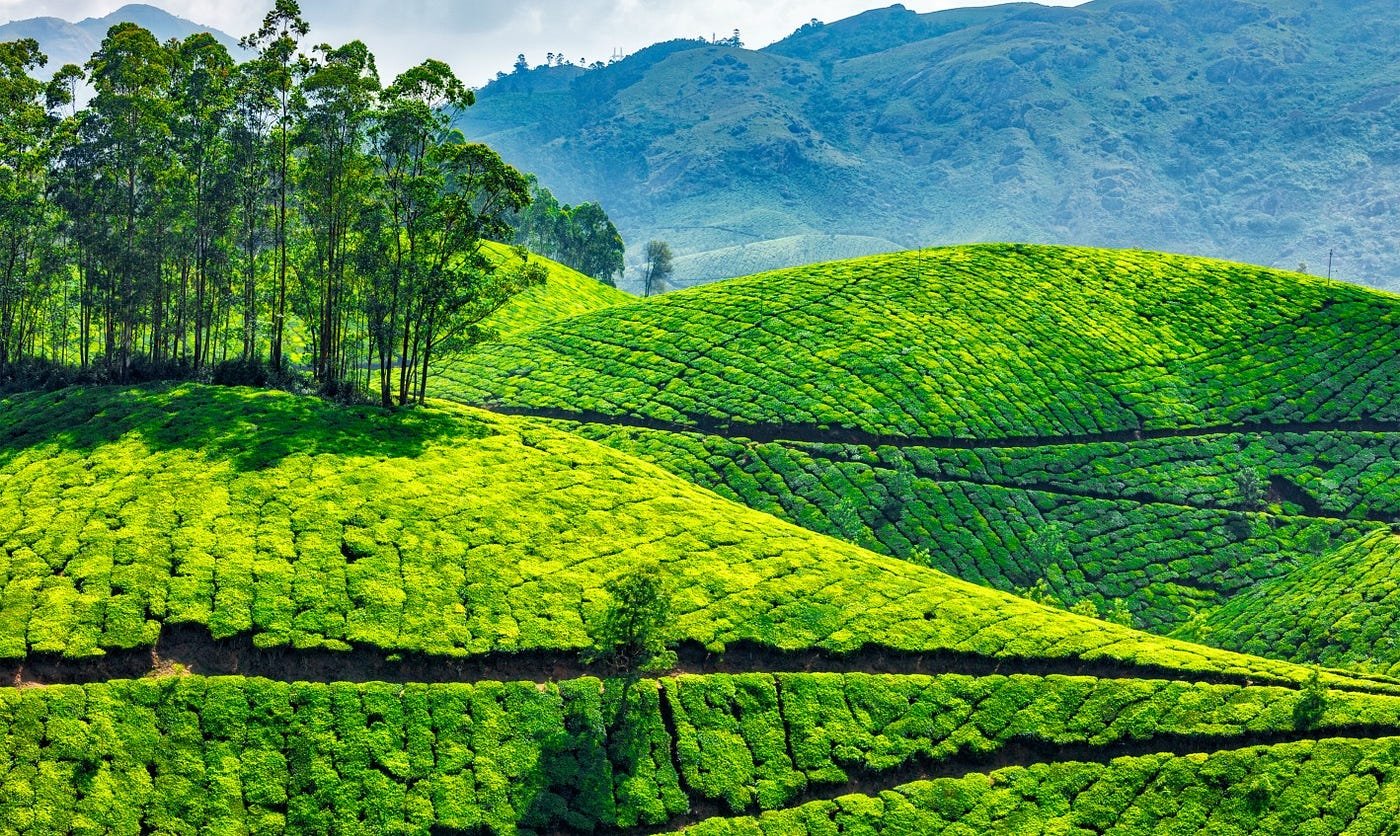 Book Trip With Force urbania Mumbai To Kerala